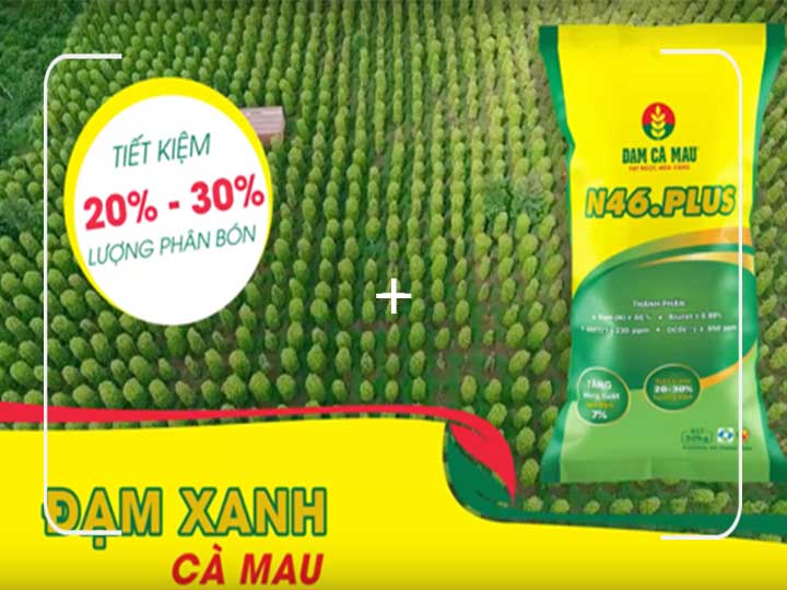 UVA-Video-Production-45